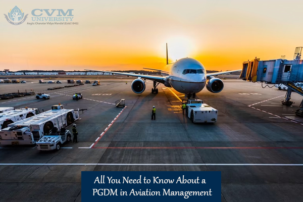 All You Need to Know About a PGDM in Aviation Management